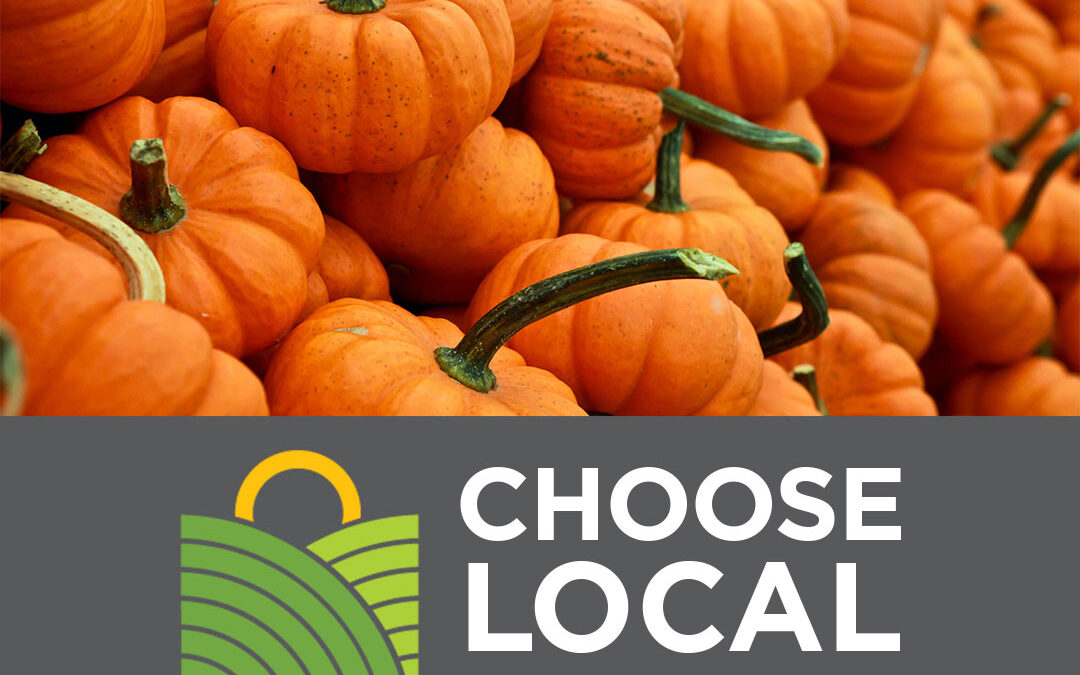 Choose Local Fall Festivals and Events